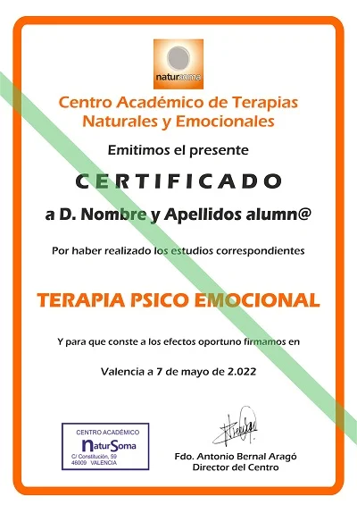 certificado TERAPIA PSICO EMOCIONAL